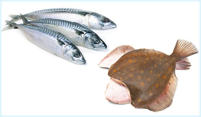 ปลาแมคเคอเรลและปลาลิ้นหมา - ปลาที่เพิ่มสมรรถภาพในผู้ชาย