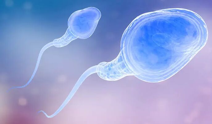 Spermatozoa อาจมีอยู่ใน pre-ejaculate ของผู้ชาย